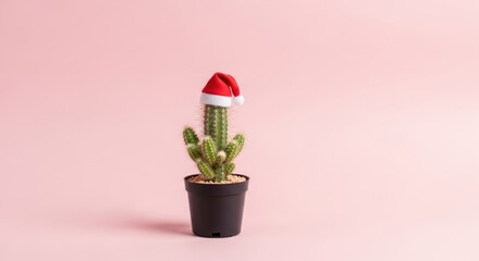 Small potted cactus wearing a festive red Santa hat on a light pink background, minimal holiday decor.