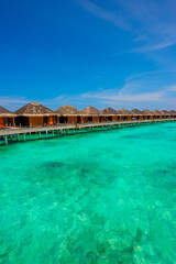 Beautiful Panorama. Summer vacation, holiday amazing nature. Relax paradise, Maldives. Tropical island beach landscape exotic shore coast. Tranquil closeup calm sea water waves with palm trees. 