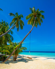 Tropical island beach landscape exotic shore coast. Tranquil closeup calm sea water waves with palm trees. Beautiful Panorama. Summer vacation, holiday amazing nature. Relax paradise, Maldives.
