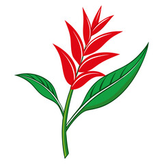 heliconia red silhouette flower vector on white background