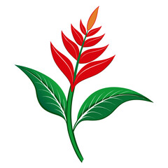 heliconia red silhouette on white background