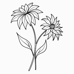 gazania wilting line art on white background