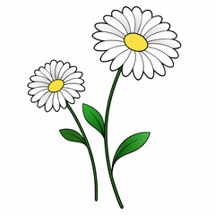 gerbera-daisy white line art on white background