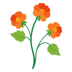 geum urbanum  flower vector on white background