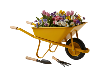Yellow wheelbarrow filled with colorful spring flowers and garden tools isolated on transparent background