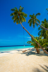 Summer vacation, holiday amazing nature. Relax paradise, Maldives. Tropical island beach landscape exotic shore coast. Tranquil closeup calm sea water waves with palm trees. Beautiful Panorama. 