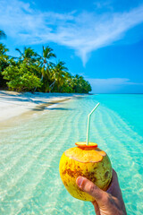 Coconut in the frame. Tropical island beach landscape exotic shore coast. Tranquil closeup calm sea water waves with palm trees. Summer vacation, holiday amazing nature. Relax paradise, Maldives.