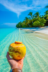 Coconut in the frame. Tropical island beach landscape exotic shore coast. Tranquil closeup calm sea water waves with palm trees. Summer vacation, holiday amazing nature. Relax paradise, Maldives.