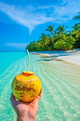 Coconut in the frame. Tropical island beach landscape exotic shore coast. Tranquil closeup calm sea water waves with palm trees. Summer vacation, holiday amazing nature. Relax paradise, Maldives.