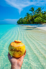 Coconut in the frame. Tropical island beach landscape exotic shore coast. Tranquil closeup calm sea water waves with palm trees. Summer vacation, holiday amazing nature. Relax paradise, Maldives.