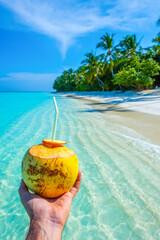 Coconut in the frame. Tropical island beach landscape exotic shore coast. Tranquil closeup calm sea water waves with palm trees. Summer vacation, holiday amazing nature. Relax paradise, Maldives.