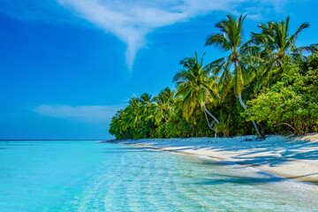 Tropical island beach landscape exotic shore coast. Tranquil closeup calm sea water waves with palm trees. Beautiful Panorama. Summer vacation, holiday amazing nature. Relax paradise, Maldives.