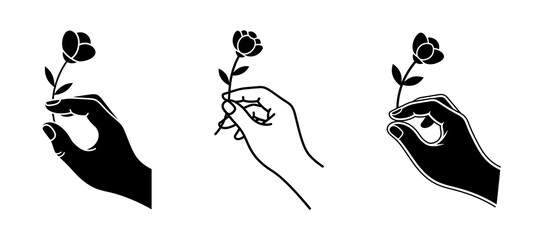 Set of three illustrations of a hand holding a single flower, presented in silhouette and line art styles.