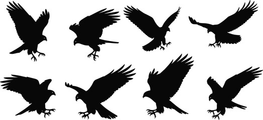 Bird of prey silhouettes, eagle hawk shapes, flying raptor poses, wildlife vector, talon spread, predator motion, black bird anatomy, isolated icons