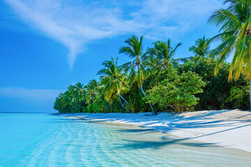 Beautiful Panorama. Tranquil closeup calm sea water waves with palm trees.Tropical island beach landscape exotic shore coast.  Summer vacation, holiday amazing nature. Relax paradise, Maldives.