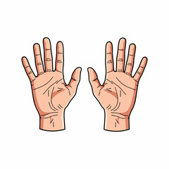vector illustration of a pair of hands with a white background 