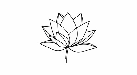 black and white flowers