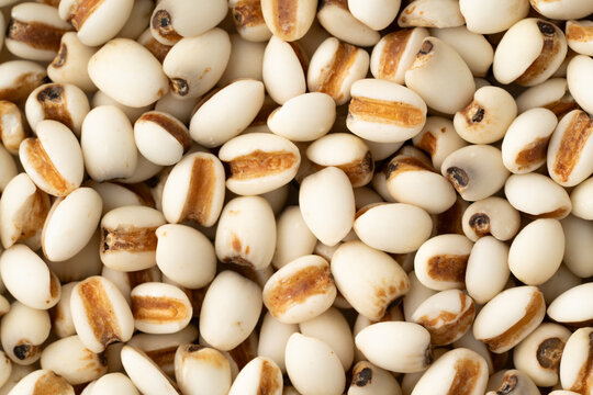 たくさんのはと麦のクローズアップ