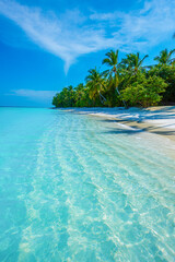 Beautiful Panorama. Tranquil closeup calm sea water waves with palm trees.Tropical island beach landscape exotic shore coast.  Summer vacation, holiday amazing nature. Relax paradise, Maldives.