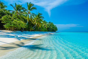 Tranquil closeup calm sea water waves with palm trees. Beautiful Panorama. Tropical island beach landscape exotic shore coast. Summer vacation, holiday amazing nature. Relax paradise, Maldives.