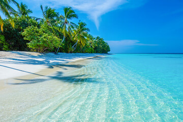 Tropical island beach landscape exotic shore coast. Tranquil closeup calm sea water waves with palm trees. Beautiful Panorama. Summer vacation, holiday amazing nature. Relax paradise, Maldives.
