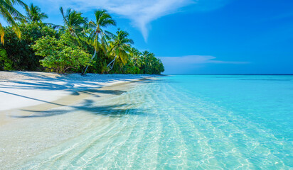 Tranquil closeup calm sea water waves with palm trees. Beautiful Panorama. Tropical island beach landscape exotic shore coast. Summer vacation, holiday amazing nature. Relax paradise, Maldives.