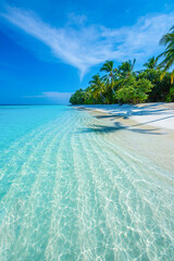 Tropical island beach landscape exotic shore coast. Tranquil closeup calm sea water waves with palm trees. Beautiful Panorama. Summer vacation, holiday amazing nature. Relax paradise, Maldives.