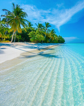 Tropical island beach landscape exotic shore coast. Tranquil closeup calm sea water waves with palm trees. Beautiful Panorama. Summer vacation, holiday amazing nature. Relax paradise, Maldives.