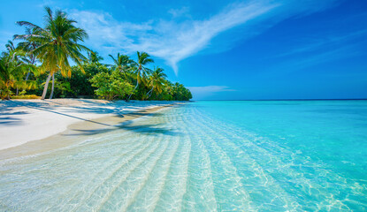 Tropical island beach landscape exotic shore coast. Tranquil closeup calm sea water waves with palm trees. Beautiful Panorama. Summer vacation, holiday amazing nature. Relax paradise, Maldives.