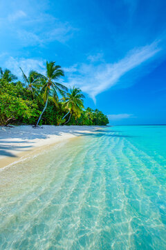 Tropical island beach landscape exotic shore coast. Tranquil closeup calm sea water waves with palm trees. Beautiful Panorama. Summer vacation, holiday amazing nature. Relax paradise, Maldives.