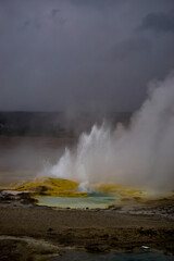 Erupting geyser featuring beautiful colors in Yellowstone National Park