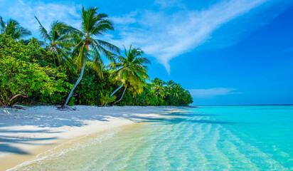 Tropical island beach landscape exotic shore coast. Tranquil closeup calm sea water waves with palm trees. Beautiful Panorama. Summer vacation, holiday amazing nature. Relax paradise, Maldives.