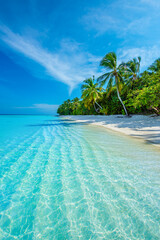 Tropical island beach landscape exotic shore coast. Tranquil closeup calm sea water waves with palm trees. Beautiful Panorama. Summer vacation, holiday amazing nature. Relax paradise, Maldives.