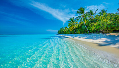 Tranquil closeup calm sea water waves with palm trees. Beautiful Panorama. Tropical island beach landscape exotic shore coast. Summer vacation, holiday amazing nature. Relax paradise, Maldives.