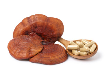 Lingzhi mushroom. lingzhi mushroom powder capsules in wooden spoons. isolated on white background.