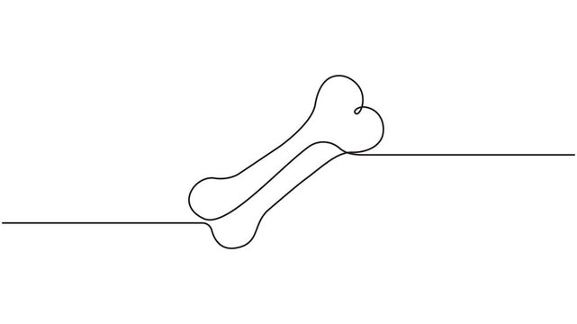 Bone continuous one line drawing, single line simple human bone vector art, 4k animation video.	
