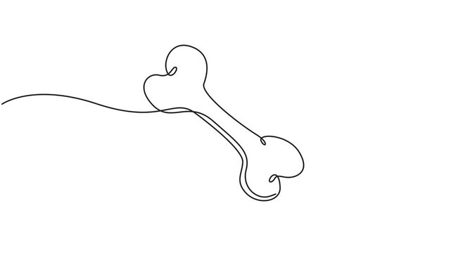 Bone continuous one line drawing, single line simple human bone vector art, 4k animation video.	