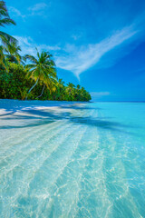 Tropical island beach landscape exotic shore coast. Tranquil closeup calm sea water waves with palm trees. Beautiful Panorama. Summer vacation, holiday amazing nature. Relax paradise, Maldives.
