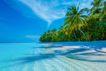 Tropical island beach landscape exotic shore coast. Tranquil closeup calm sea water waves with palm trees. Beautiful Panorama. Summer vacation, holiday amazing nature. Relax paradise, Maldives.