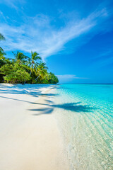 Tropical island beach landscape exotic shore coast. Tranquil closeup calm sea water waves with palm trees. Beautiful Panorama. Summer vacation, holiday amazing nature. Relax paradise, Maldives.