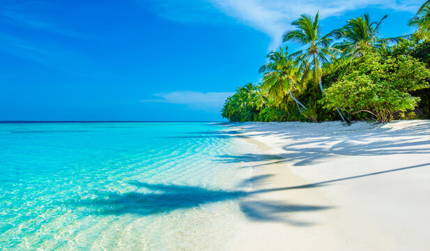 Tropical island beach landscape exotic shore coast. Tranquil closeup calm sea water waves with palm trees. Beautiful Panorama. Summer vacation, holiday amazing nature. Relax paradise, Maldives. - Powered by Adobe