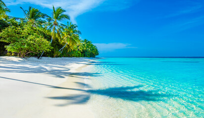Tranquil closeup calm sea water waves with palm trees. Tropical island beach landscape exotic shore coast. Summer vacation, holiday amazing nature, Maldives.