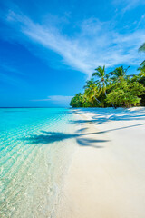 Tranquil closeup calm sea water waves with palm trees. Tropical island beach landscape exotic shore coast. Summer vacation, holiday amazing nature, Maldives.