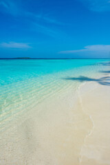 Tranquil closeup calm sea water waves with palm trees. Tourist posing in front of bungalows. Tropical island beach landscape exotic shore coast. Summer vacation, holiday amazing nature, Maldives.