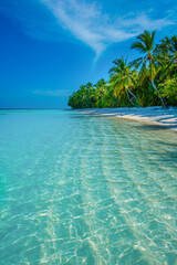 Tranquil closeup calm sea water waves with palm trees. Tourist posing in front of bungalows. Tropical island beach landscape exotic shore coast. Summer vacation, holiday amazing nature, Maldives.