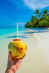Tranquil closeup calm sea water waves with palm trees. Coconut is in the frame. Tropical island beach landscape exotic shore coast. Summer vacation, holiday amazing nature, Maldives.