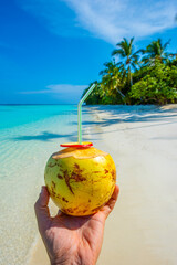 Tranquil closeup calm sea water waves with palm trees. Coconut is in the frame. Tropical island beach landscape exotic shore coast. Summer vacation, holiday amazing nature, Maldives.
