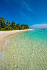 Tranquil closeup calm sea water waves with palm trees. Beautiful panorama view. Tropical island beach landscape exotic shore coast. Summer vacation, holiday amazing nature, Maldives.
