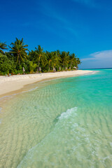 Tranquil closeup calm sea water waves with palm trees. Beautiful panorama view. Tropical island beach landscape exotic shore coast. Summer vacation, holiday amazing nature, Maldives.