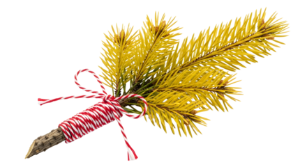 Gift - Yellow pine branch decorated with red and white striped string tied in a bow, isolated on white background, perfect for holiday crafts and seasonal decor